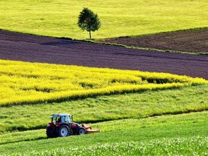 Vzorčna fotografija: Agrikultura