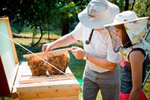 130710_Cebelarstvo_035-splet